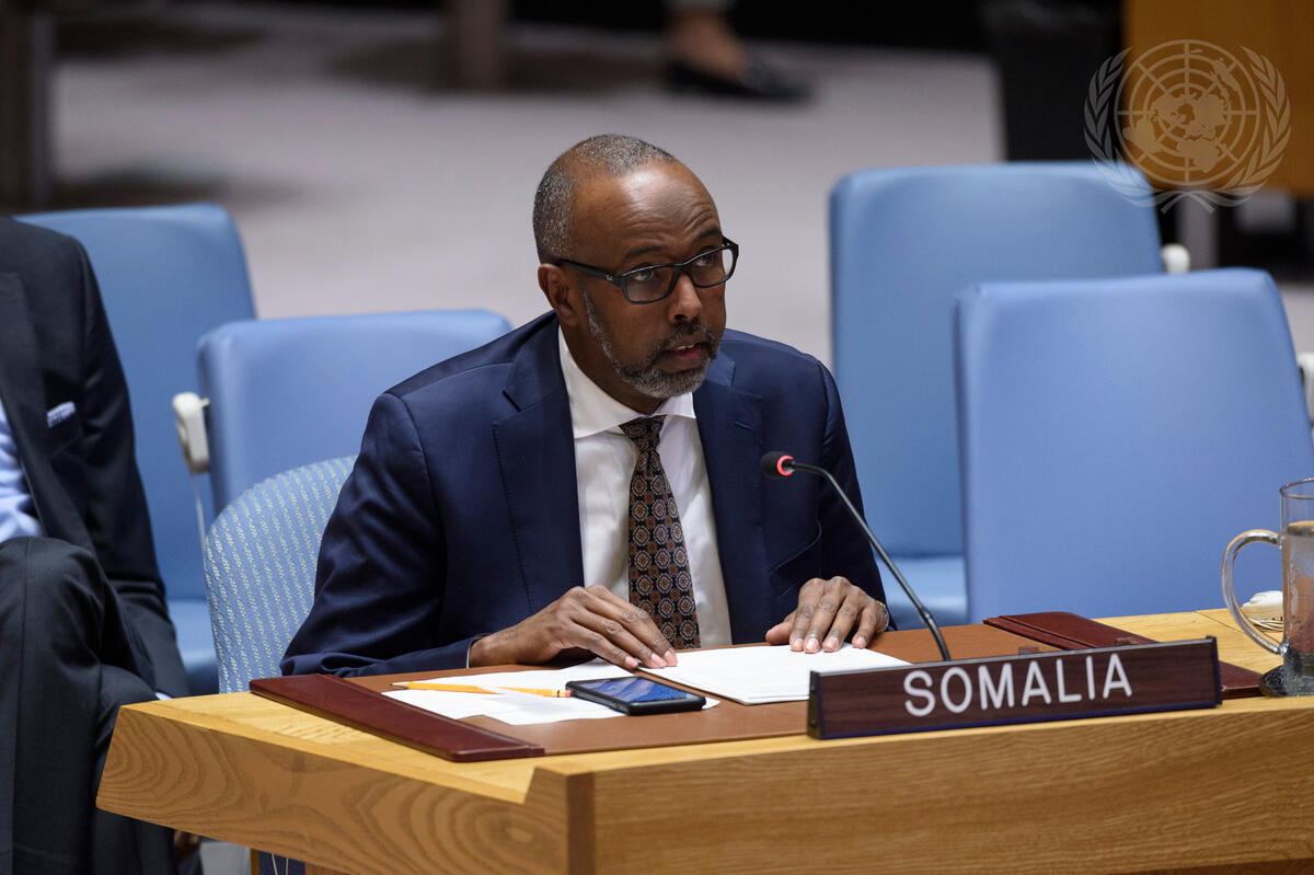 Briefing On Somalia “statement He Amb Abukar Dahir Osman Pr Of Somalia To The United Nations 2244